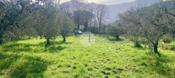  قطعة أرض في Terni, Italy 5460متر مربع رقم 263062 20