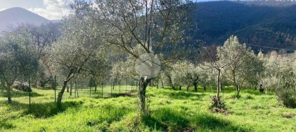  قطعة أرض في Terni, Italy 5460متر مربع رقم 263062 8