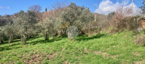  قطعة أرض في Terni, Italy 5460متر مربع رقم 263062 24