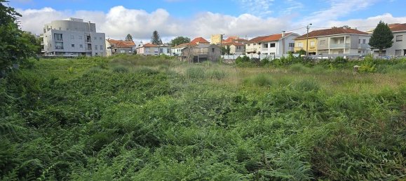 10080m² Land in Sao Mamede de Infesta, Portugal No. 87904 4