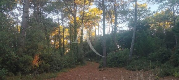 Terreno en Saint-Jean-de-Monts, France 553 m² No. 239460 5