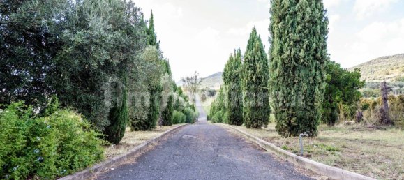 4 غرف نوم فيلا في Cerveteri, Italy رقم 351846 2