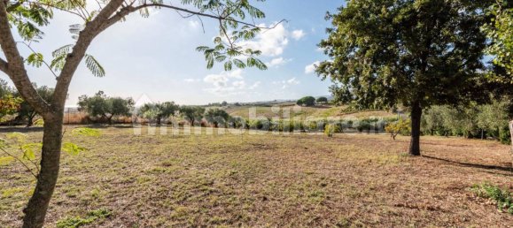 4 غرف نوم فيلا في Cerveteri, Italy رقم 351846 6