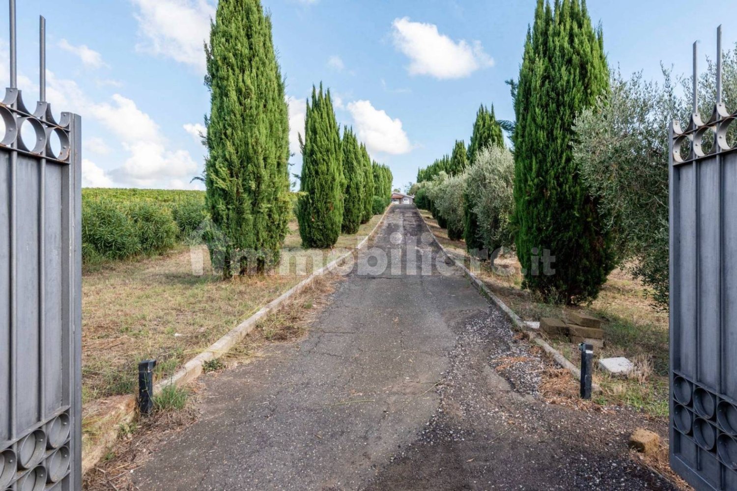 4 غرف نوم فيلا في Cerveteri, Italy رقم 351846