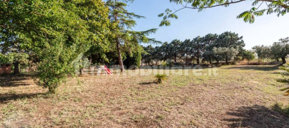 4 غرف نوم فيلا في Cerveteri, Italy رقم 351846 7