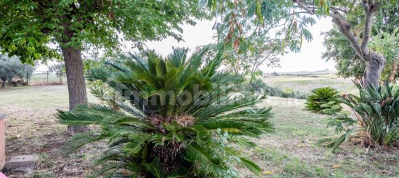 4 غرف نوم فيلا في Cerveteri, Italy رقم 351846 3