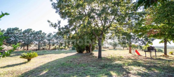 4 غرف نوم فيلا في Cerveteri, Italy رقم 351846 13