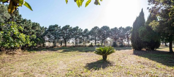 4 غرف نوم فيلا في Cerveteri, Italy رقم 351846 10