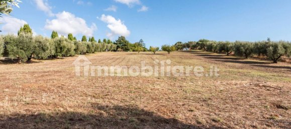 4 غرف نوم فيلا في Cerveteri, Italy رقم 351846 4