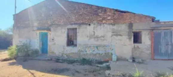 Entrepôt à Benifaio, Spain No. 138207 5