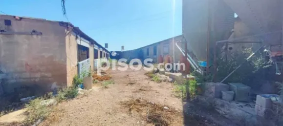 Entrepôt à Benifaio, Spain No. 138207 4