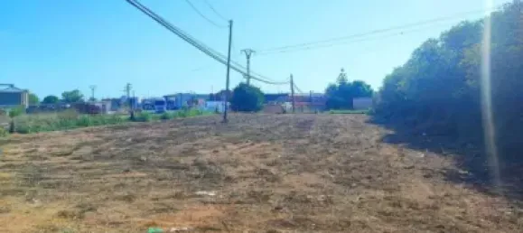 Entrepôt à Benifaio, Spain No. 138207 3