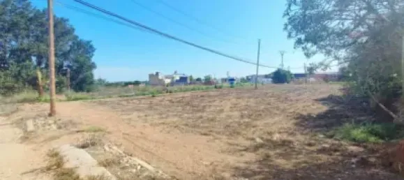 Entrepôt à Benifaio, Spain No. 138207 6