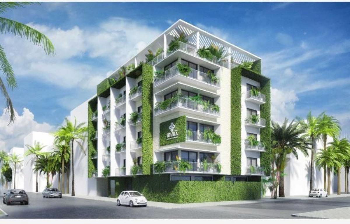 Estudio en Solidaridad, Mexico No. 180968