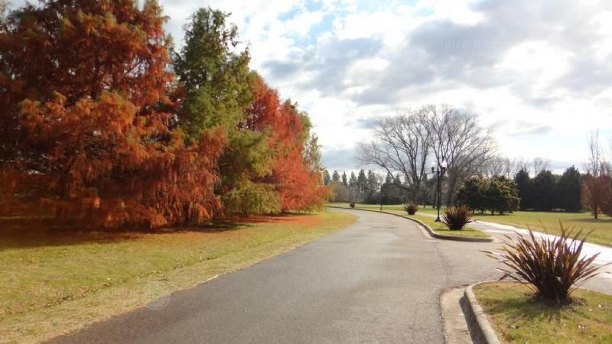 Земельный участок в Хенераль Родригес, Аргентина № 43572