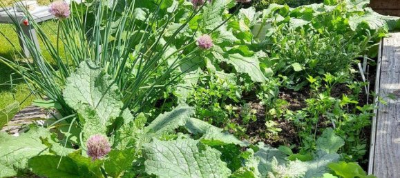 1 bedroom House in St. Veit an der Golsen, Austria No. 234421 35