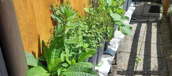 1 bedroom House in St. Veit an der Golsen, Austria No. 234421 7