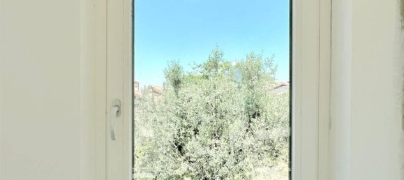 Villa de 2 habitaciónes en Monte Porzio Catone, Italy No. 31735 13