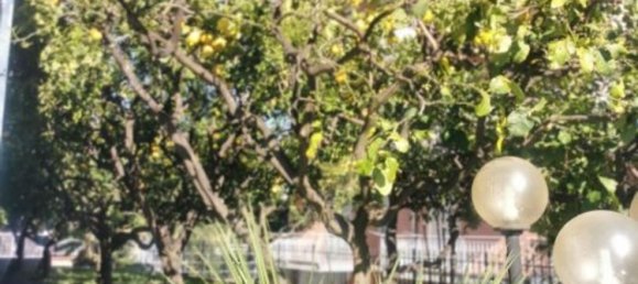 3 غرف نوم فيلا في Diano Marina, Italy رقم 330193 21