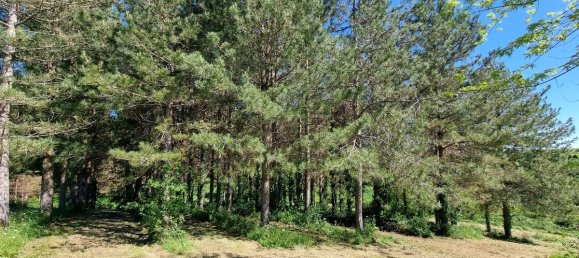 3 bedrooms House in Monsegur, France No. 337161 12