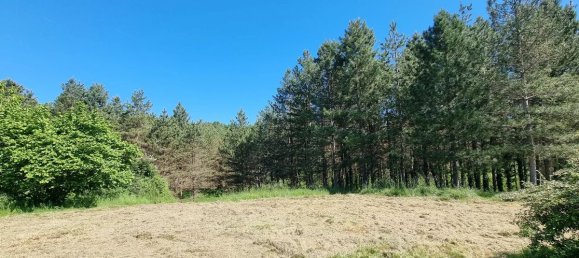 3 bedrooms House in Monsegur, France No. 337161 13