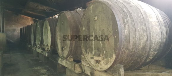 9059m² Commercial property in Anadia, Portugal No. 157864 7