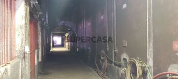 9059m² Commercial property in Anadia, Portugal No. 157864 6