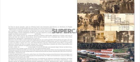 9059m² Commercial property in Anadia, Portugal No. 157864 4