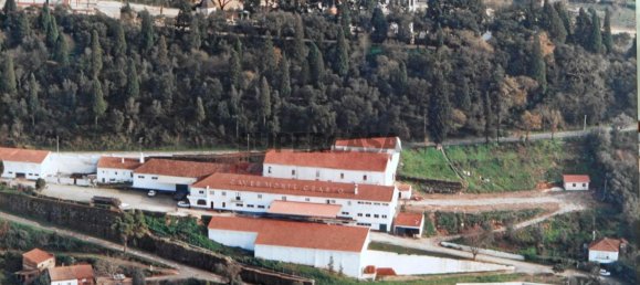 9059m² Commercial property in Anadia, Portugal No. 157864 2