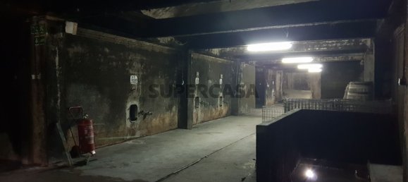 9059m² Commercial property in Anadia, Portugal No. 157864 12