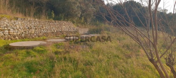 9059m² Commercial property in Anadia, Portugal No. 157864 27