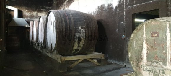 9059m² Commercial property in Anadia, Portugal No. 157864 8