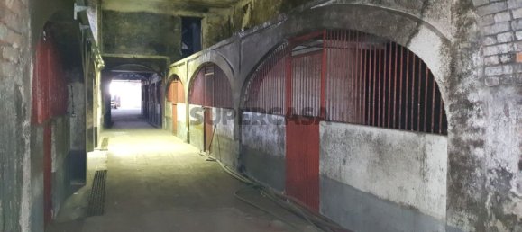 9059m² Commercial property in Anadia, Portugal No. 157864 10