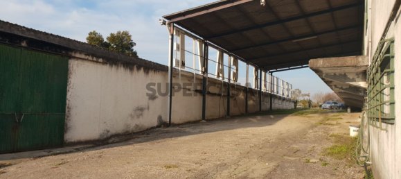 9059m² Commercial property in Anadia, Portugal No. 157864 25