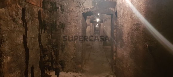 9059m² Commercial property in Anadia, Portugal No. 157864 11