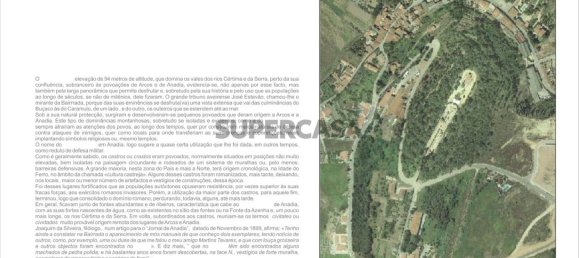 9059m² Commercial property in Anadia, Portugal No. 157864 3