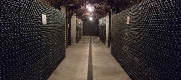 9059m² Commercial property in Anadia, Portugal No. 157864 5