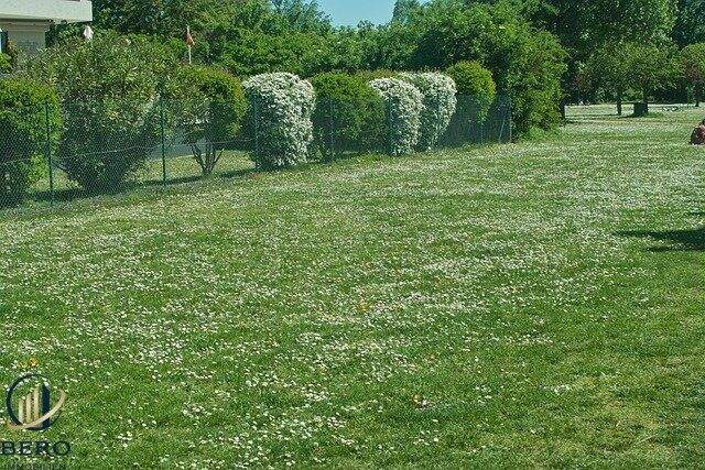  Land in Klosterneuburg, Austria No. 242903