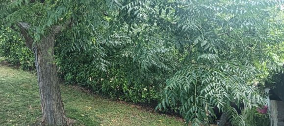 5 rooms House in Farindola, Italy No. 303085 20