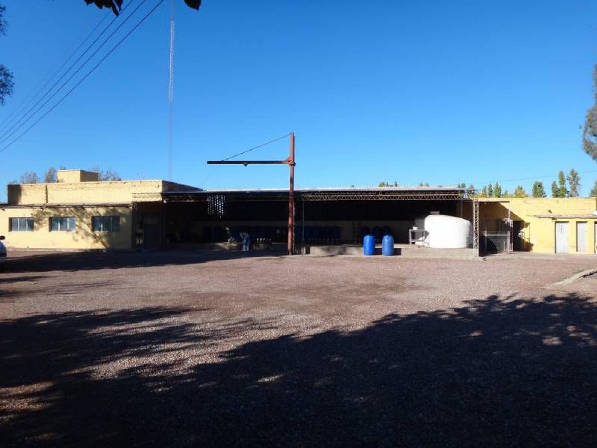 Здание 702м² в Мендоса, Аргентина № 109578