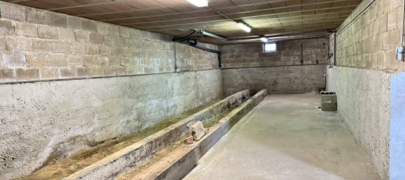 5-Zimmer Haus in Gols, Austria, Nr. 16473 15