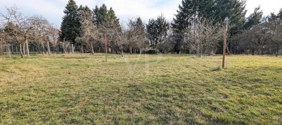 Granja de 6 dormitorios en Spree-Neise, Germany No. 26381 3