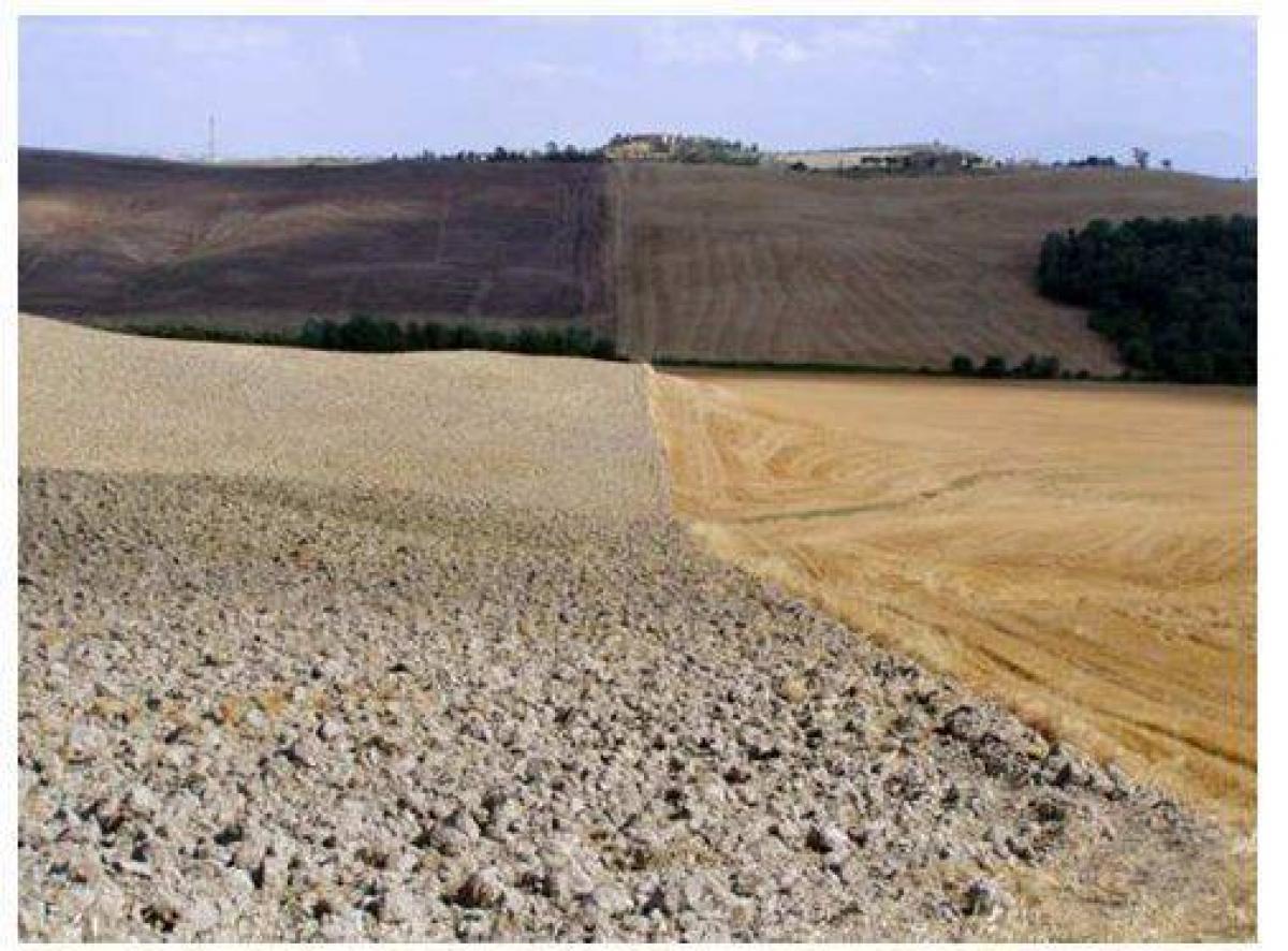 Studio in Asciano, Italy No. 1411