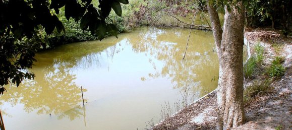 4 bedrooms Cafe / restaurant in Pattaya, Thailand No. 1367 8