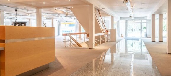 Gewerbliche Immobilie in Schwarzwald-Baar-Kreis, Germany 4441m², Nr. 17919 4