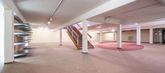 Gewerbliche Immobilie in Schwarzwald-Baar-Kreis, Germany 4441m², Nr. 17919 8