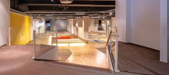 Gewerbliche Immobilie in Schwarzwald-Baar-Kreis, Germany 4441m², Nr. 17919 10