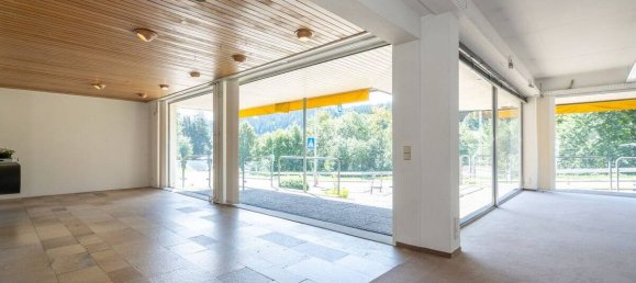 Gewerbliche Immobilie in Schwarzwald-Baar-Kreis, Germany 4441m², Nr. 17919 6