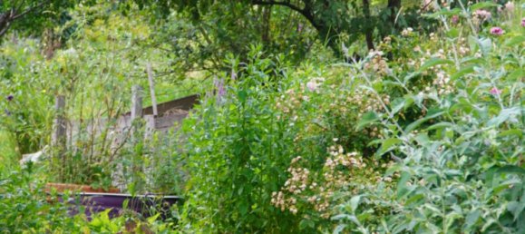  قطعة أرض في Bad Tolz-Wolfratshausen, Germany رقم 243778 6