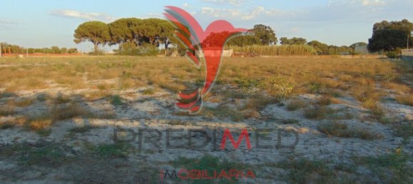 Grundstück in Alcochete, Portugal 13245m², Nr. 61514 6